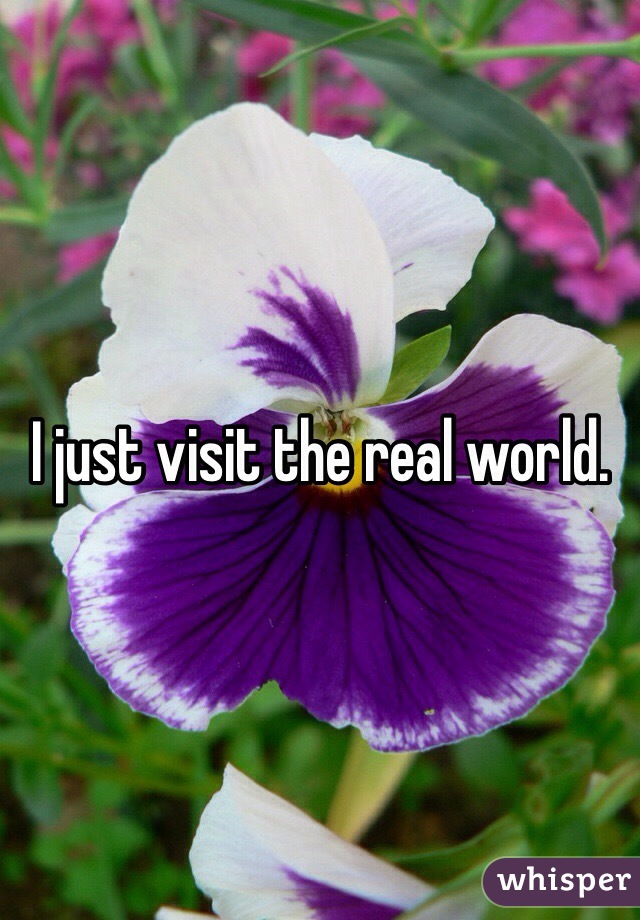 I just visit the real world. 