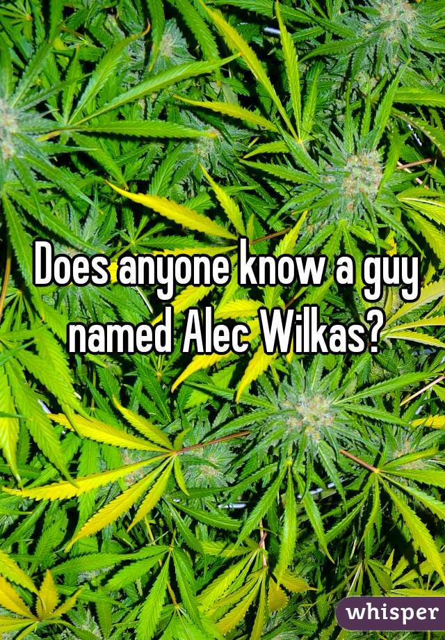 Does anyone know a guy named Alec Wilkas? 