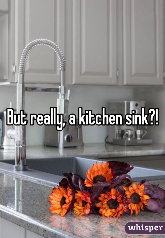 But really, a kitchen sink?!