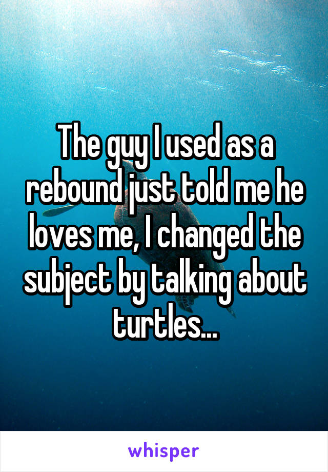 The guy I used as a rebound just told me he loves me, I changed the subject by talking about turtles...