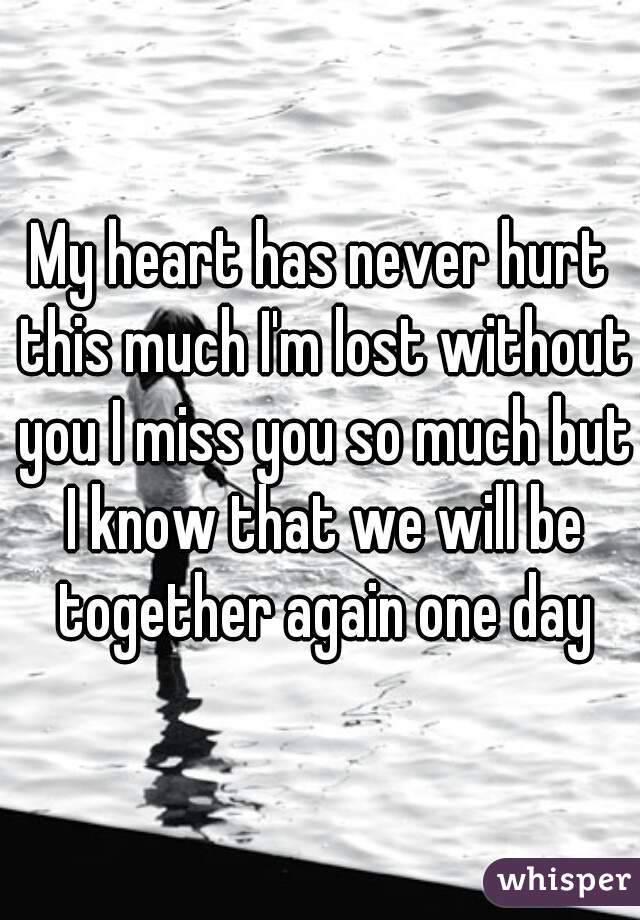 My heart has never hurt this much I'm lost without you I miss you so much but I know that we will be together again one day