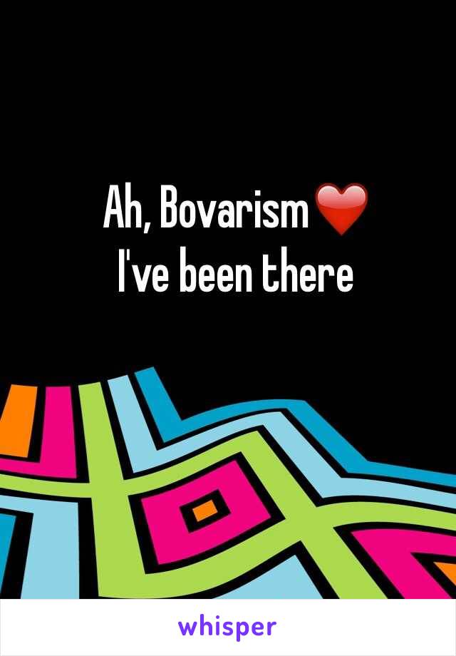 Ah, Bovarism❤️
I've been there