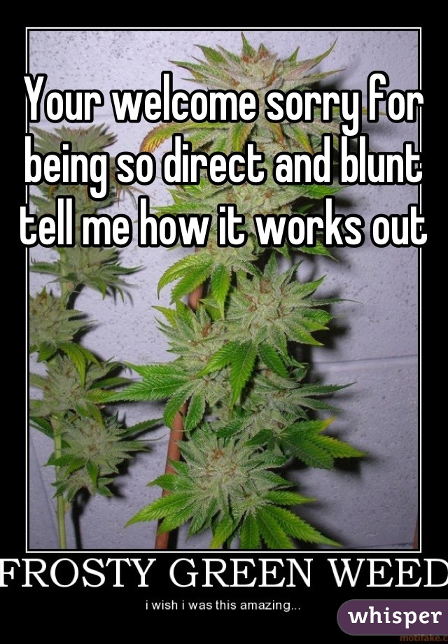 Your welcome sorry for being so direct and blunt tell me how it works out