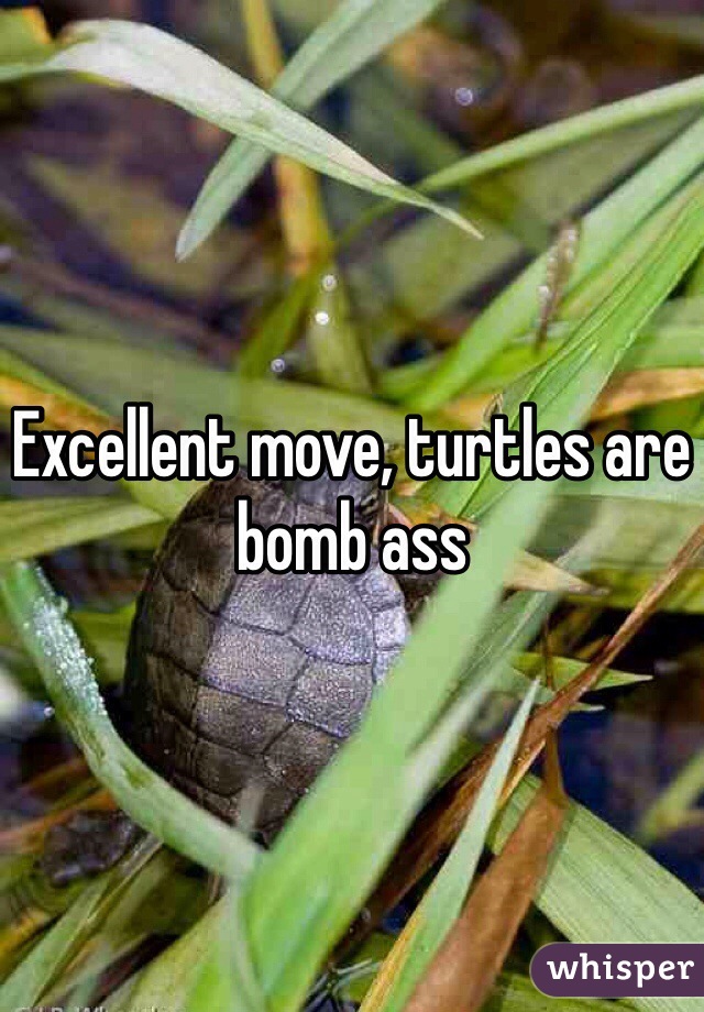 Excellent move, turtles are bomb ass