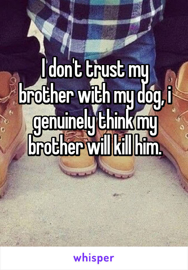 I don't trust my brother with my dog, i genuinely think my brother will kill him.

