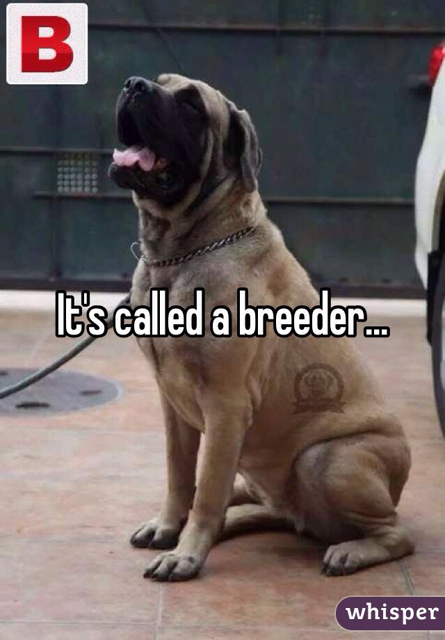 It's called a breeder...