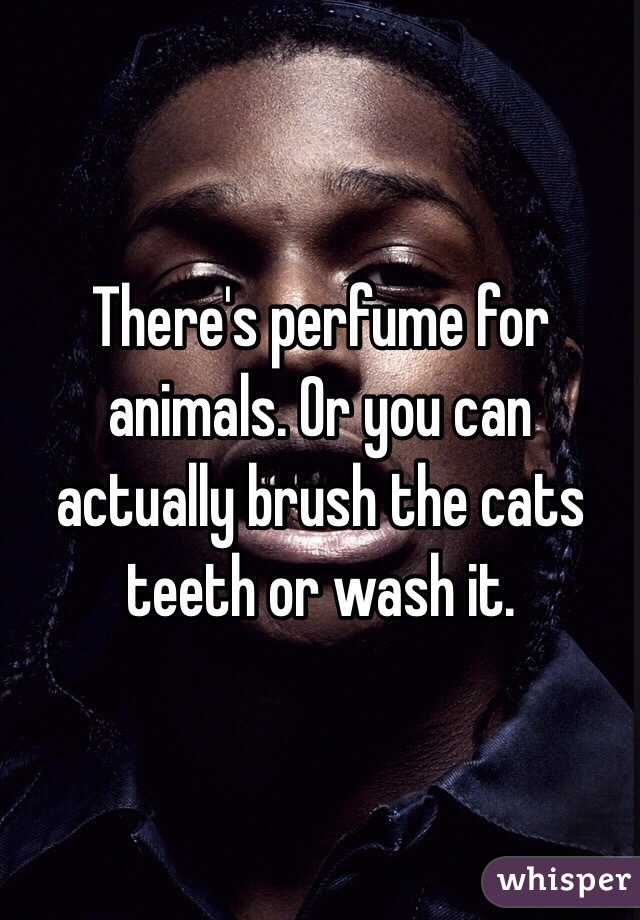 There's perfume for animals. Or you can actually brush the cats teeth or wash it.