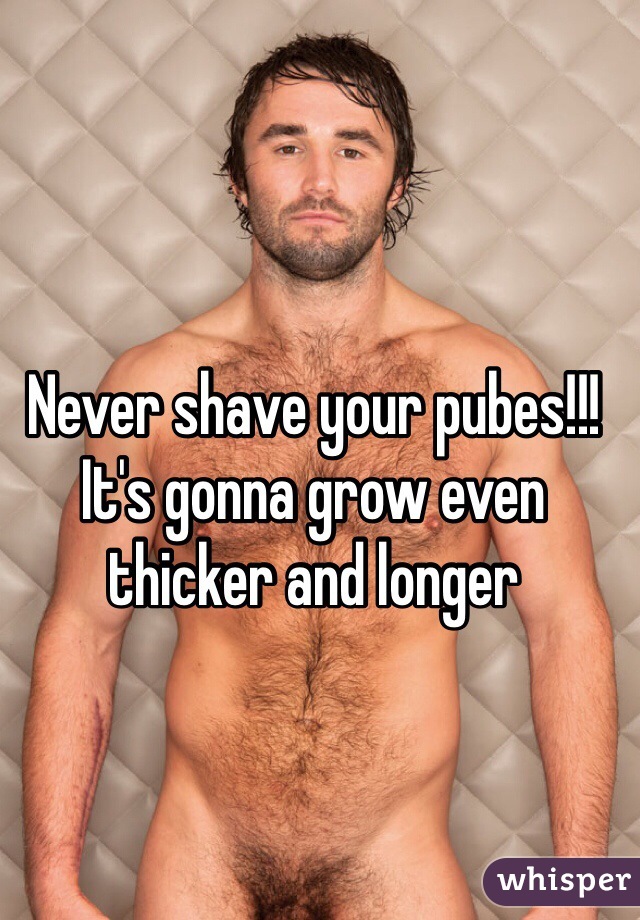 Never shave your pubes!!! It's gonna grow even thicker and longer