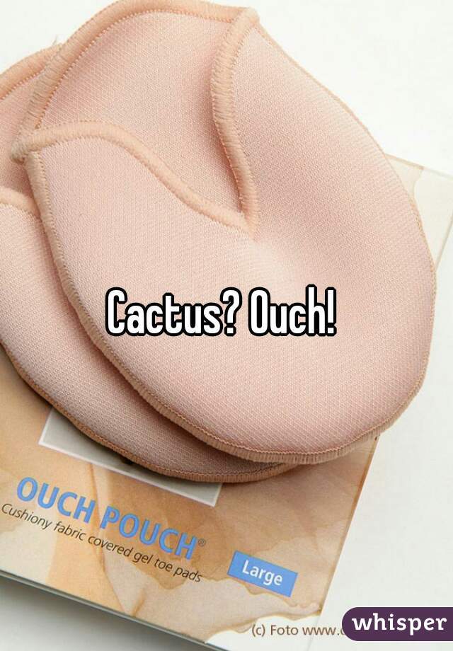 Cactus? Ouch! 