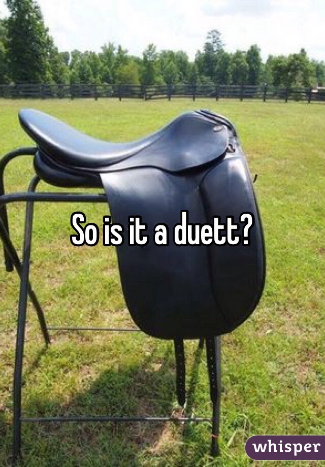 So is it a duett?