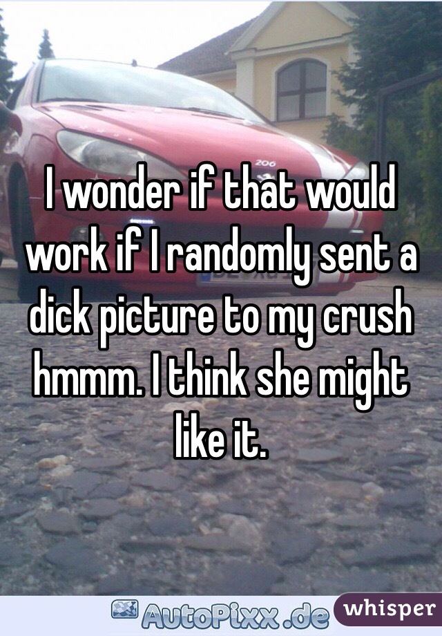 I wonder if that would work if I randomly sent a dick picture to my crush hmmm. I think she might like it. 