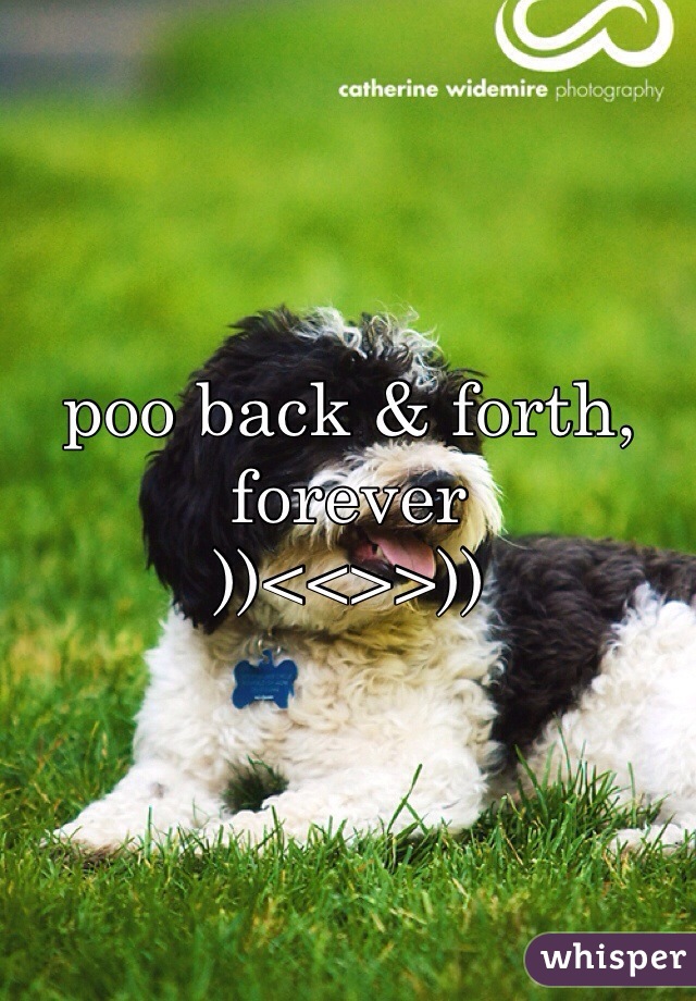 poo back & forth, forever
))<<>>))