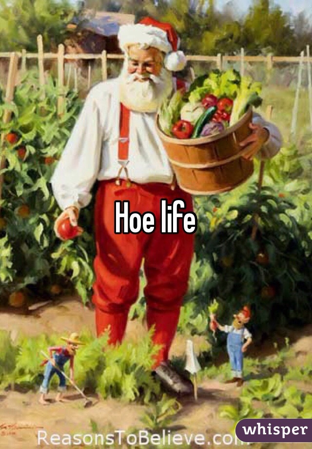 Hoe life 