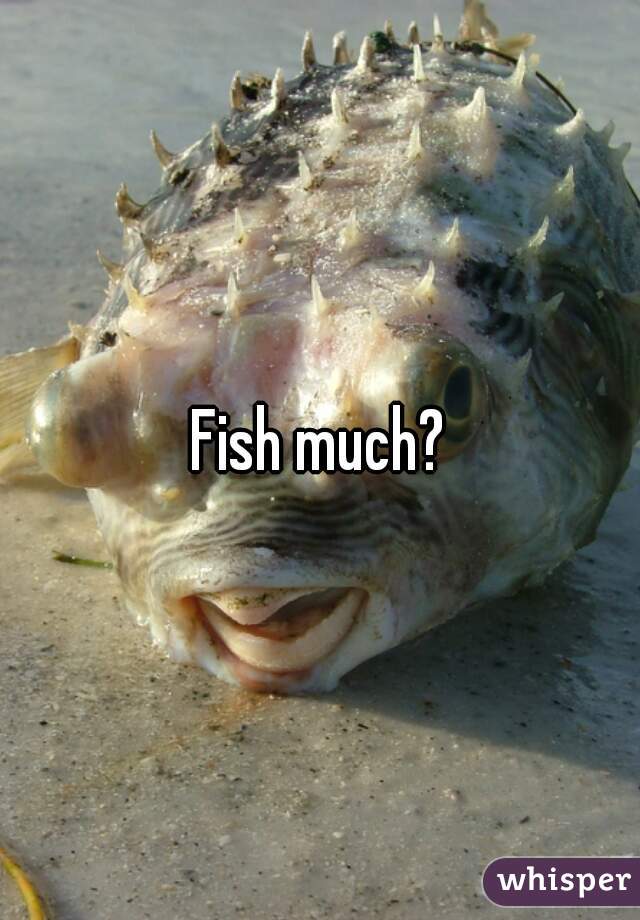 Fish much?