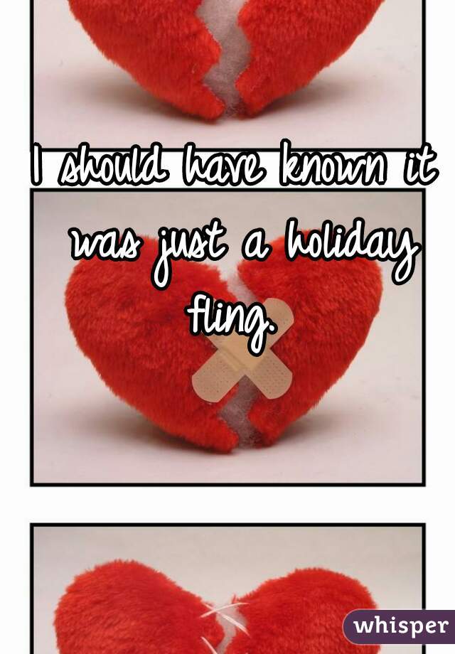 I should have known it was just a holiday fling. 