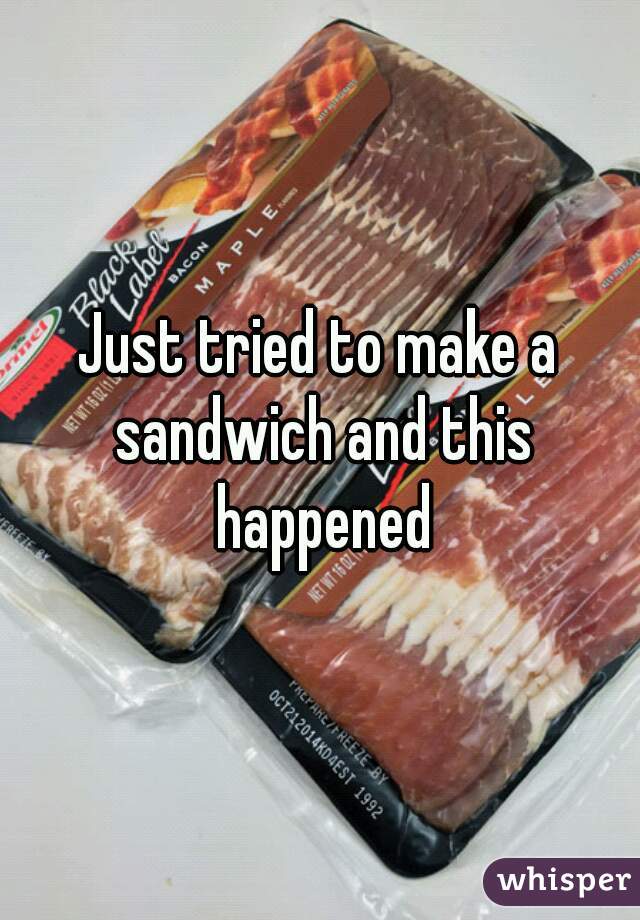 Just tried to make a sandwich and this happened
