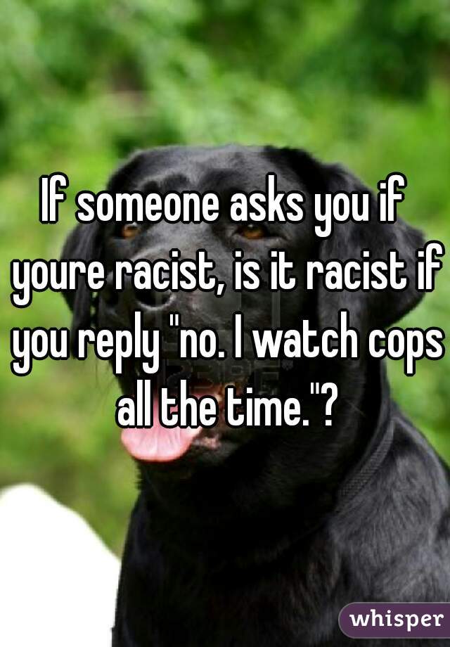 If someone asks you if youre racist, is it racist if you reply "no. I watch cops all the time."?