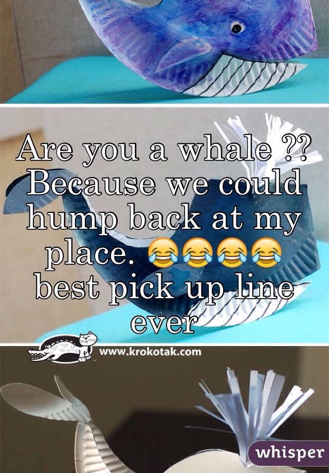 Are you a whale ?? Because we could hump back at my place. 😂😂😂😂 best pick up line ever 
