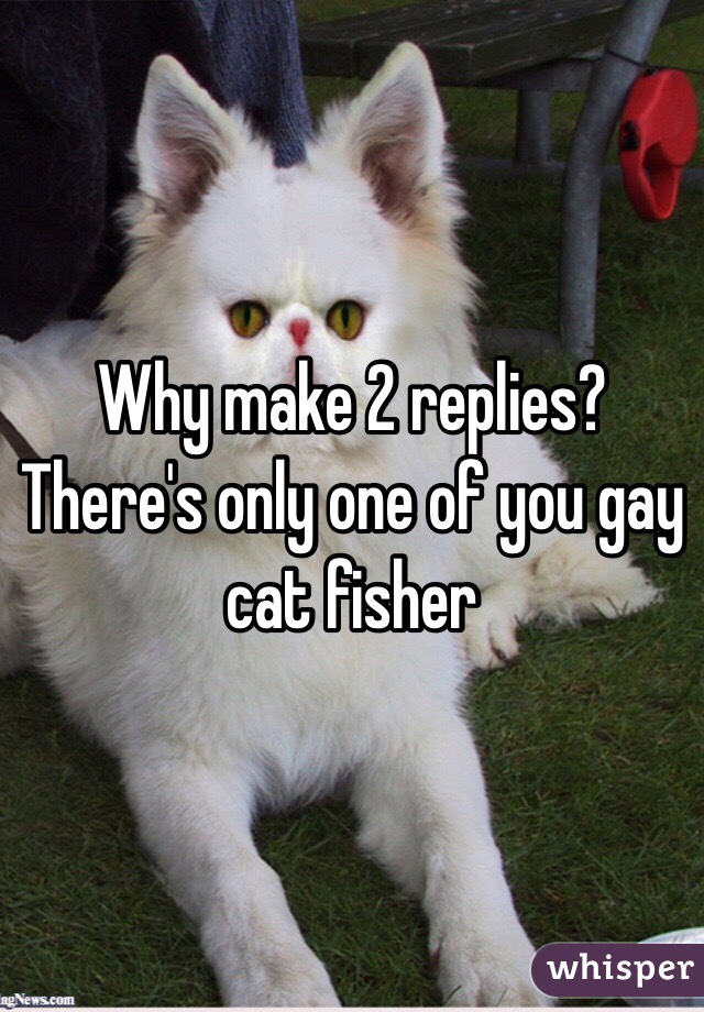 Why make 2 replies? There's only one of you gay cat fisher