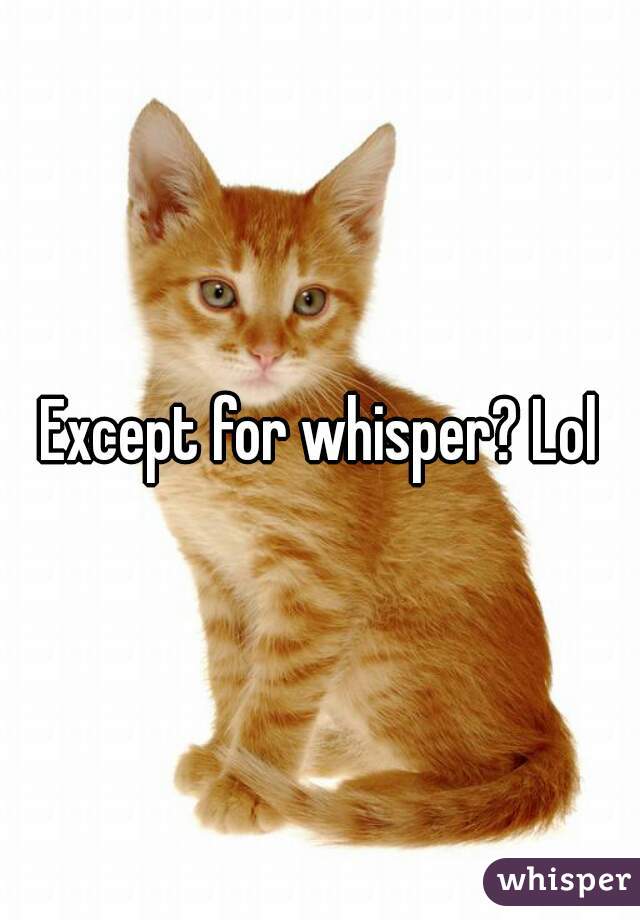 Except for whisper? Lol