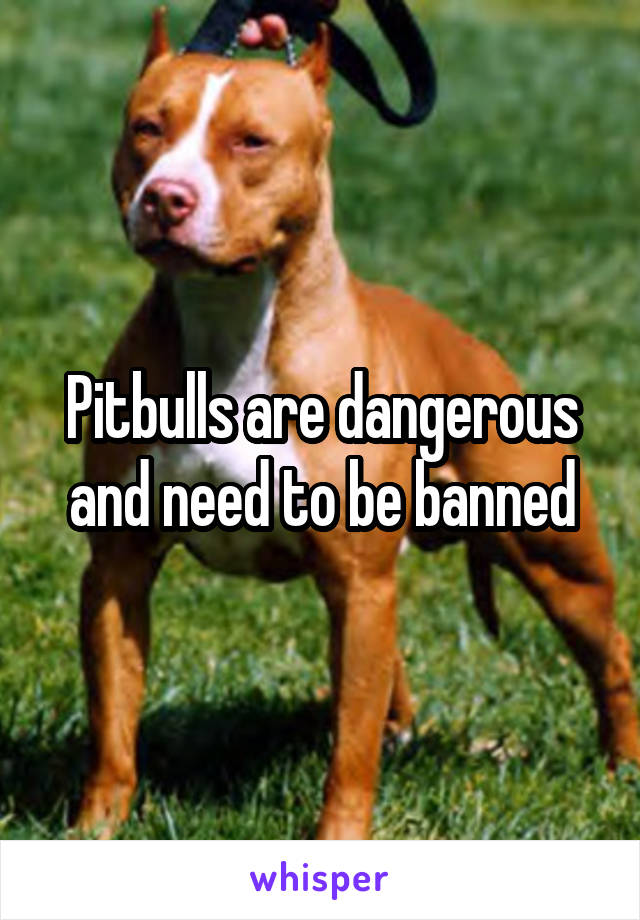 Pitbulls are dangerous and need to be banned