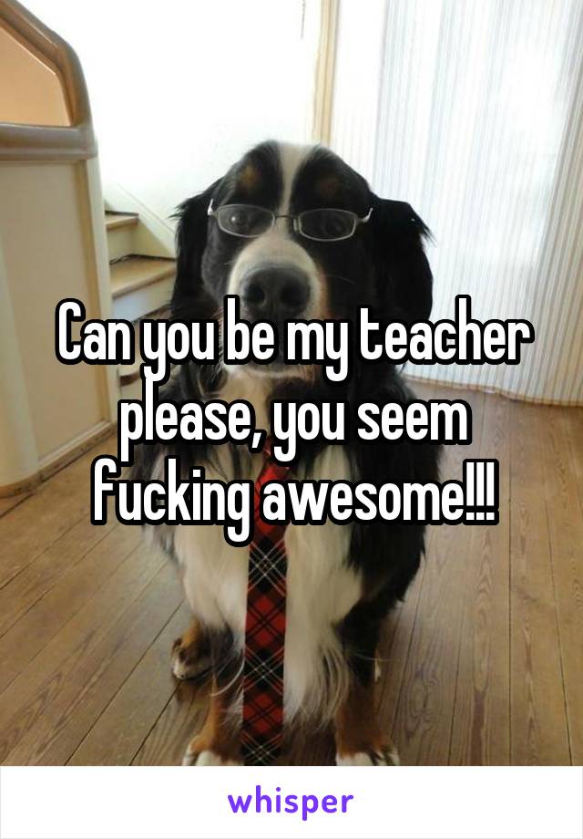 Can you be my teacher please, you seem fucking awesome!!!