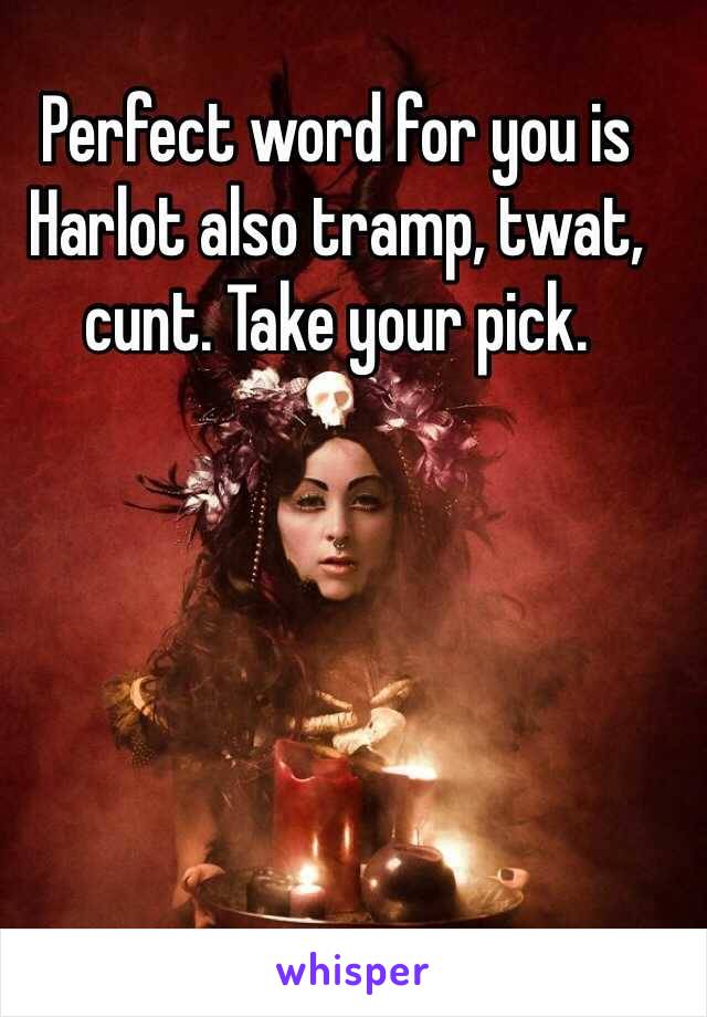 Perfect word for you is Harlot also tramp, twat, cunt. Take your pick. 