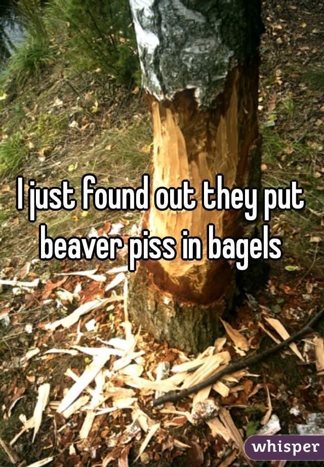 I just found out they put beaver piss in bagels 