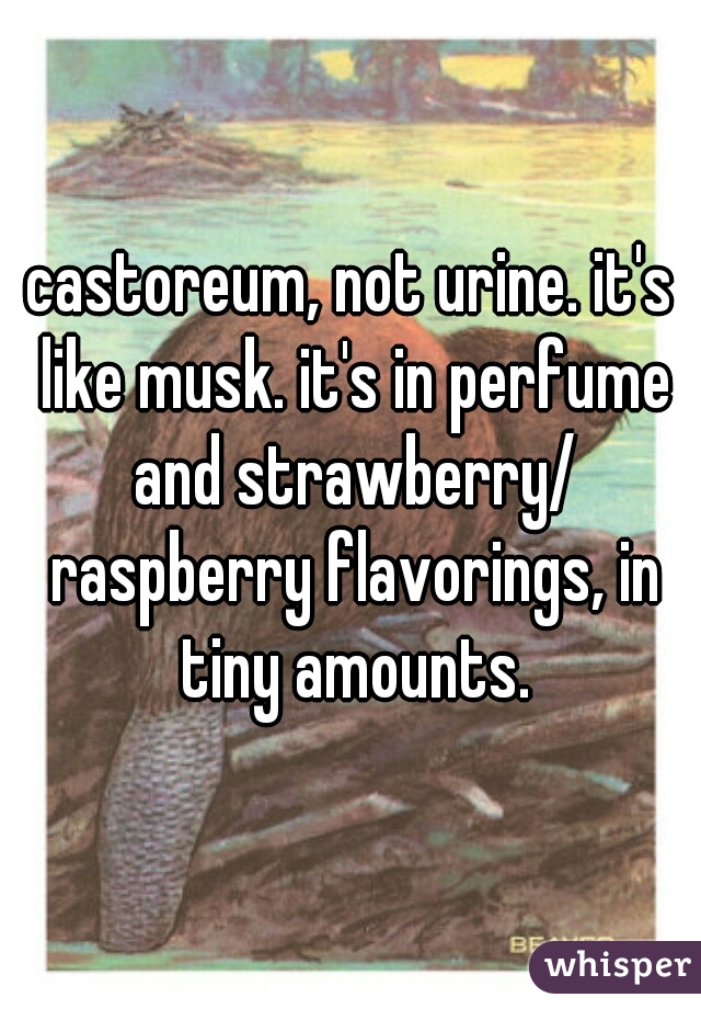 castoreum, not urine. it's like musk. it's in perfume and strawberry/ raspberry flavorings, in tiny amounts.