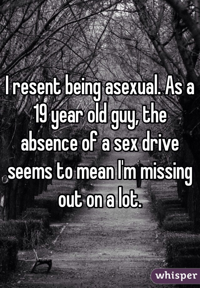I resent being asexual. As a 19 year old guy, the absence of a sex drive seems to mean I'm missing out on a lot. 