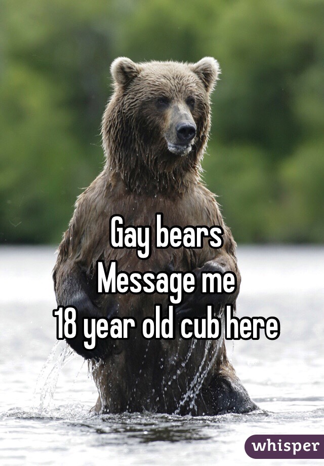Gay bears
Message me
18 year old cub here 