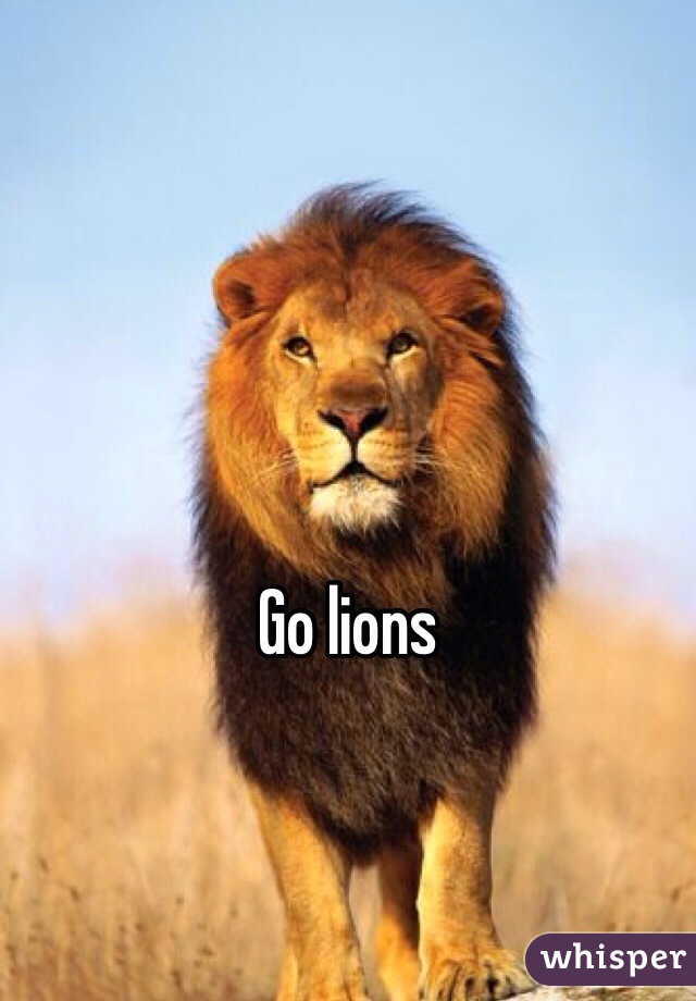 Go lions