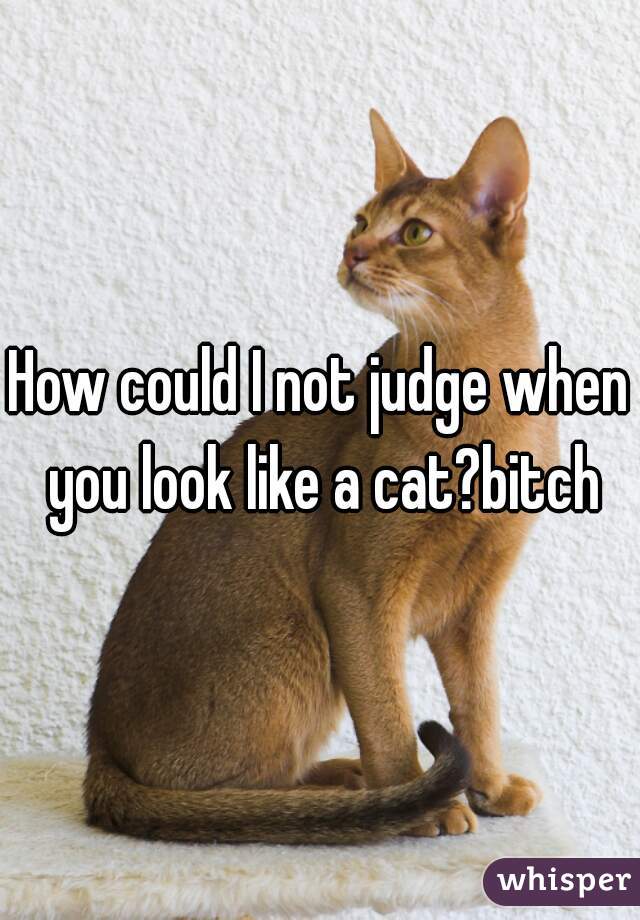 How could I not judge when you look like a cat?bitch