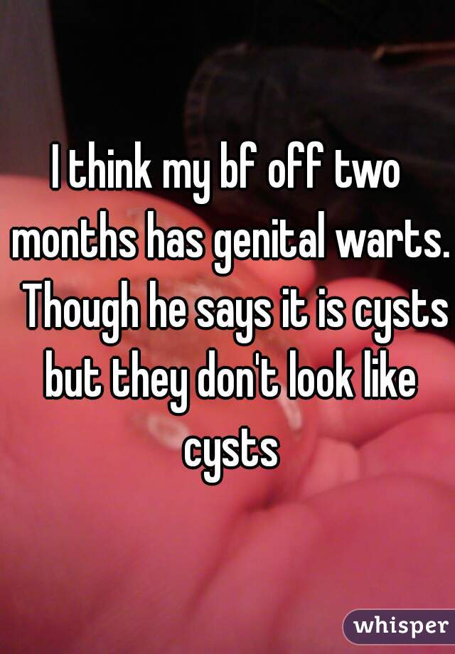 I think my bf off two months has genital warts.  Though he says it is cysts but they don't look like cysts