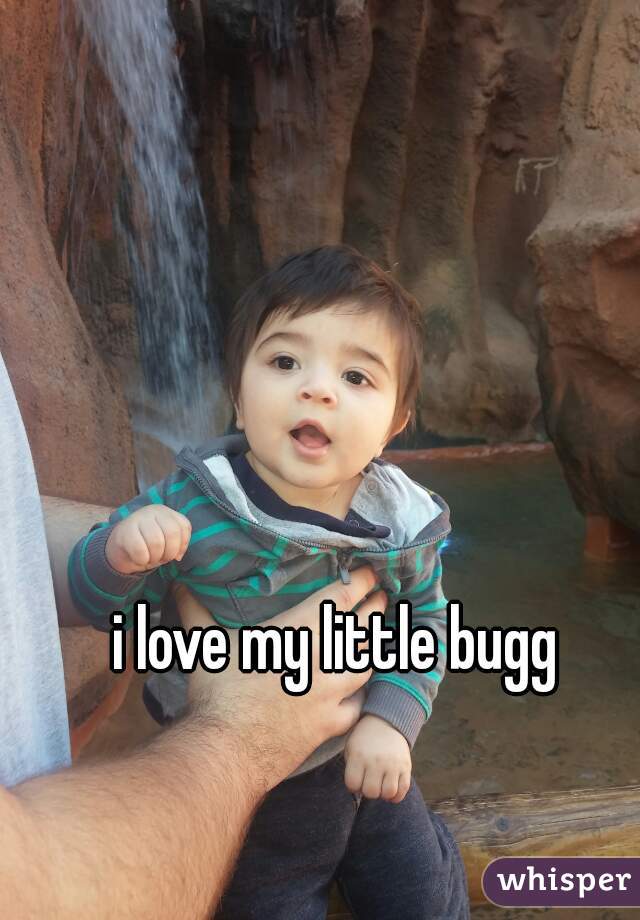 i love my little bugg