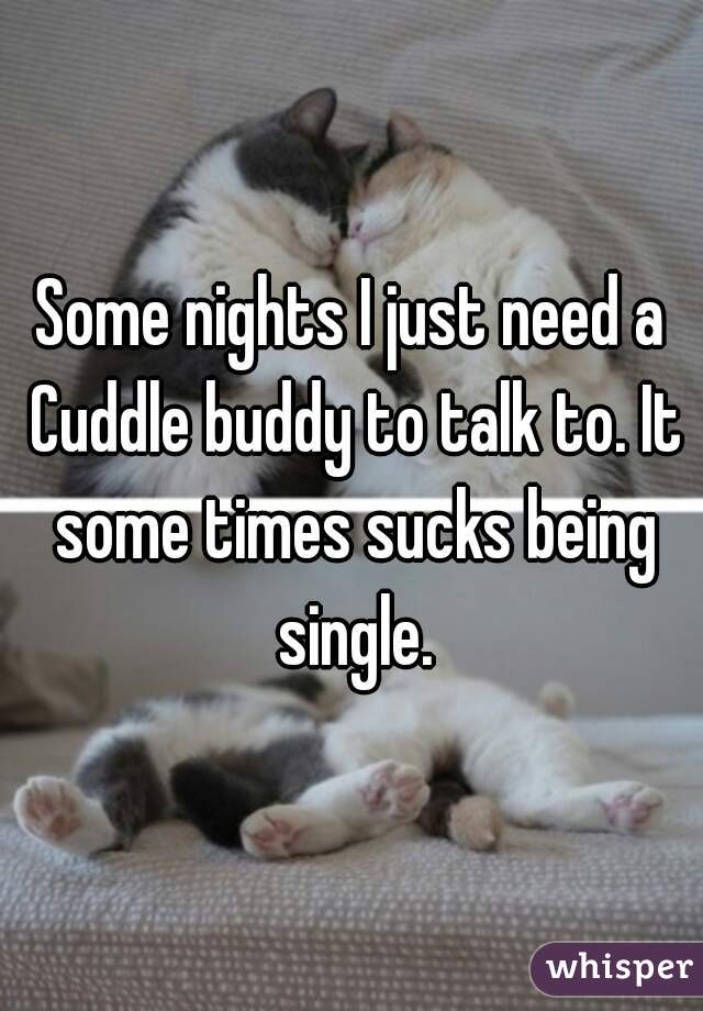 Some nights I just need a Cuddle buddy to talk to. It some times sucks being single.