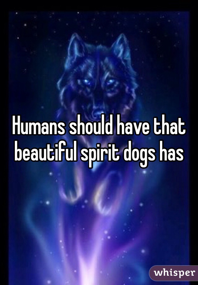Humans should have that beautiful spirit dogs has