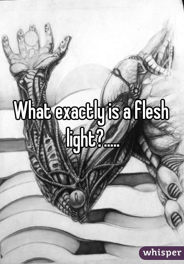 What exactly is a flesh light?.....