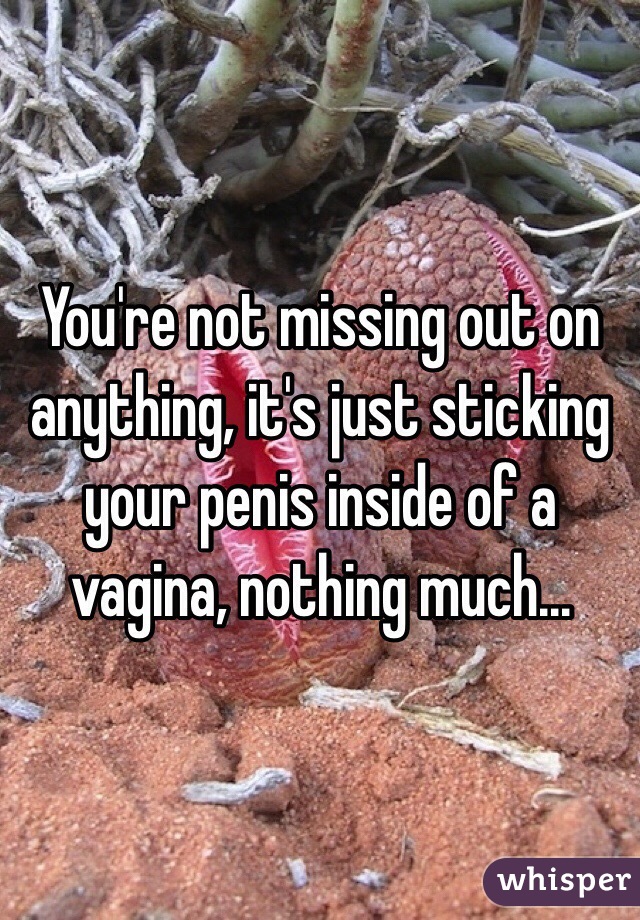 You're not missing out on anything, it's just sticking your penis inside of a vagina, nothing much...