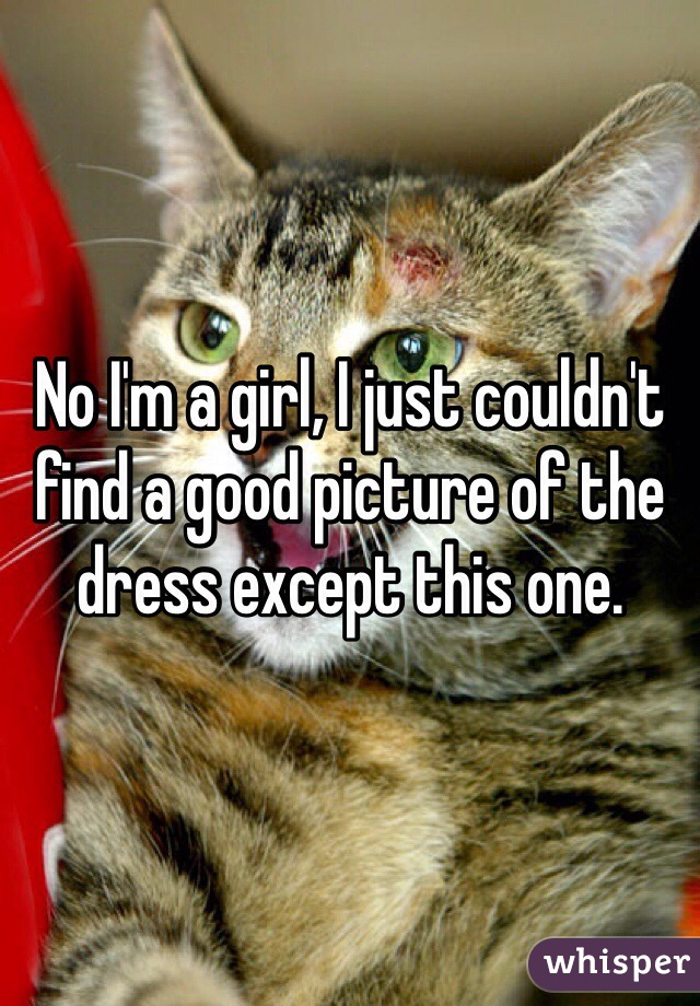 No I'm a girl, I just couldn't find a good picture of the dress except this one. 