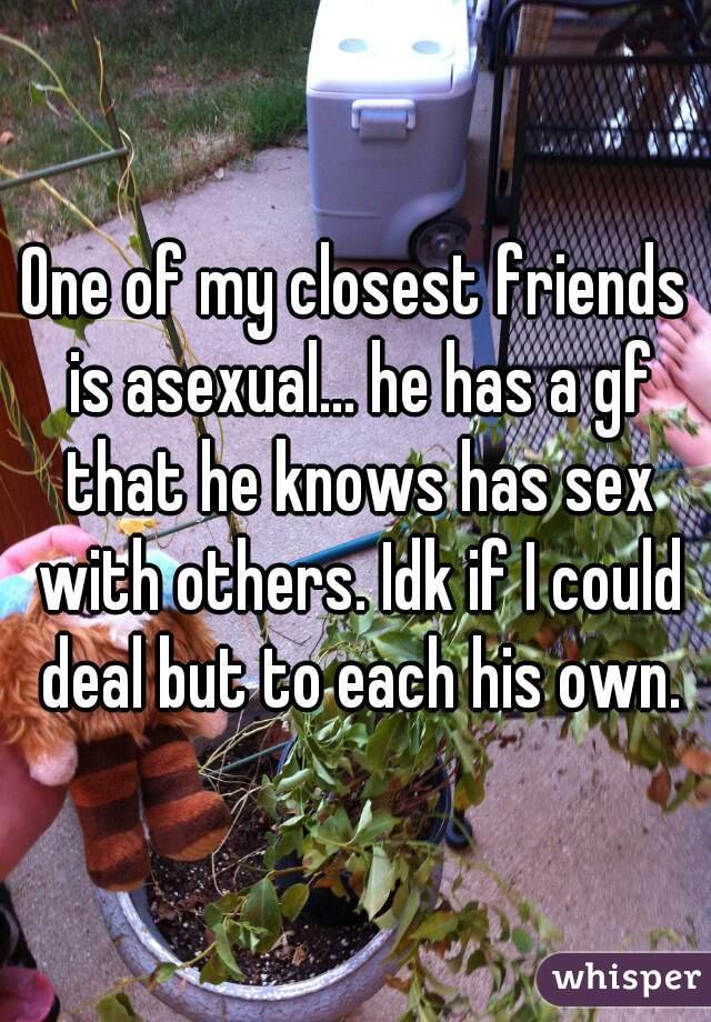 One of my closest friends is asexual... he has a gf that he knows has sex with others. Idk if I could deal but to each his own.