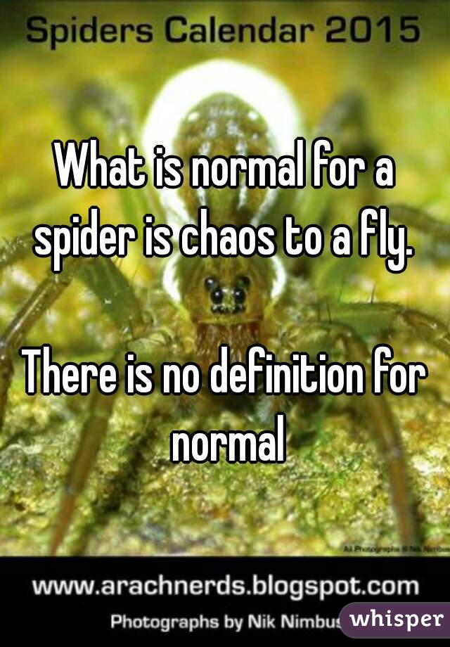 What is normal for a spider is chaos to a fly. 

There is no definition for normal