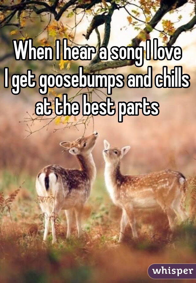 When I hear a song I love
I get goosebumps and chills at the best parts 