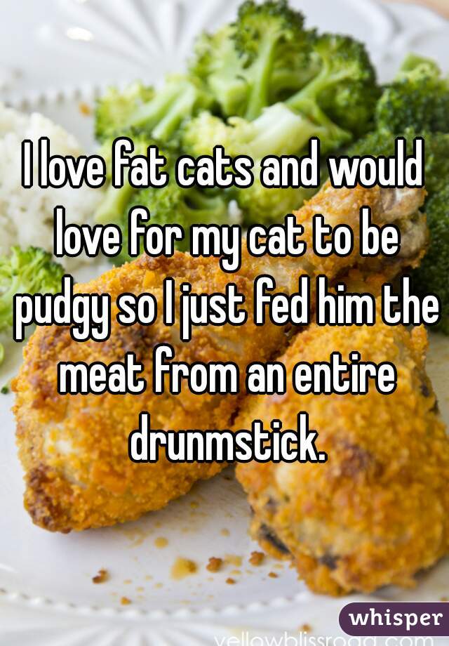 I love fat cats and would love for my cat to be pudgy so I just fed him the meat from an entire drunmstick.