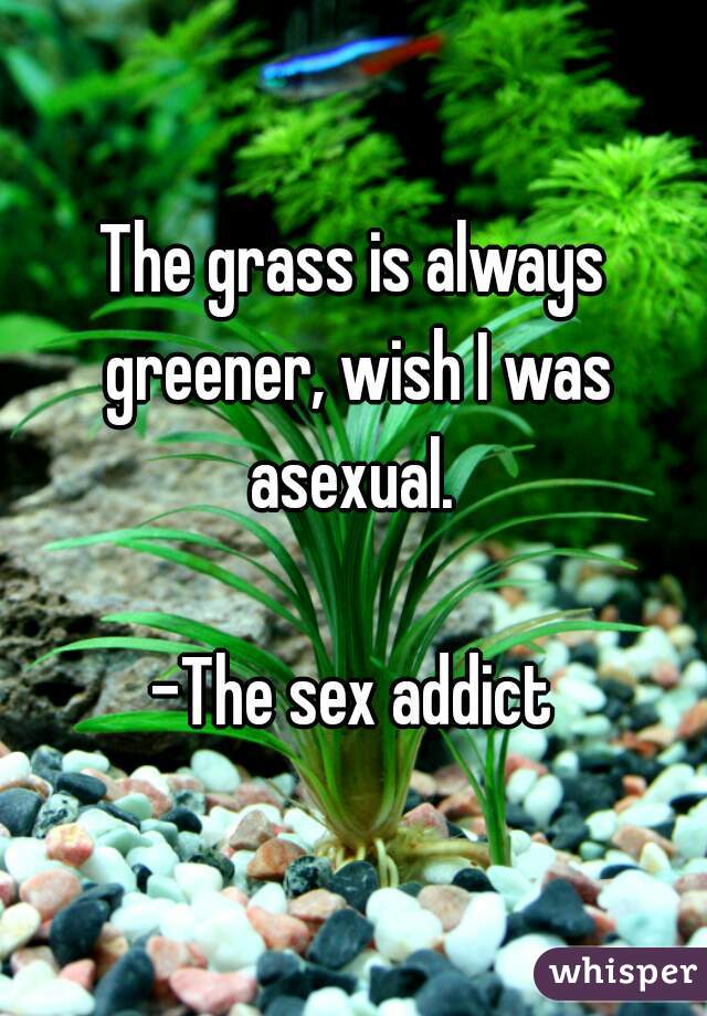 The grass is always greener, wish I was asexual. 

-The sex addict