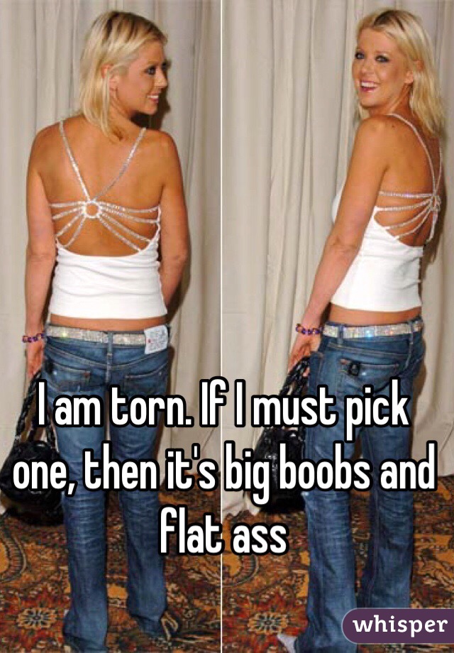 I am torn. If I must pick one, then it's big boobs and flat ass