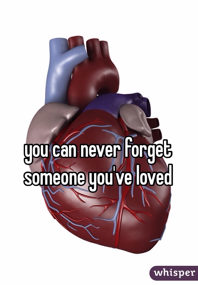you can never forget someone you've loved