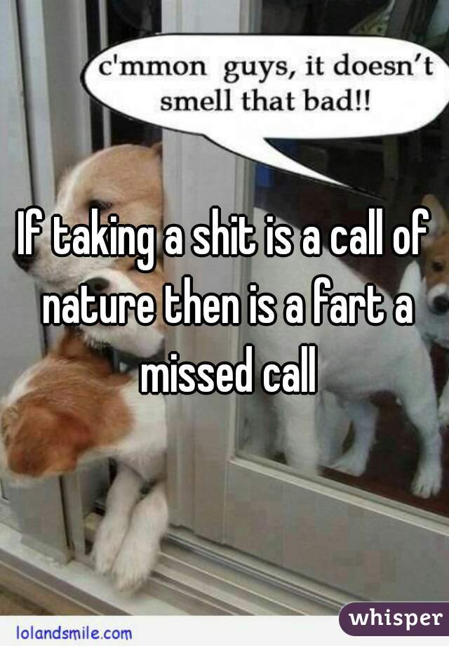 If taking a shit is a call of nature then is a fart a missed call