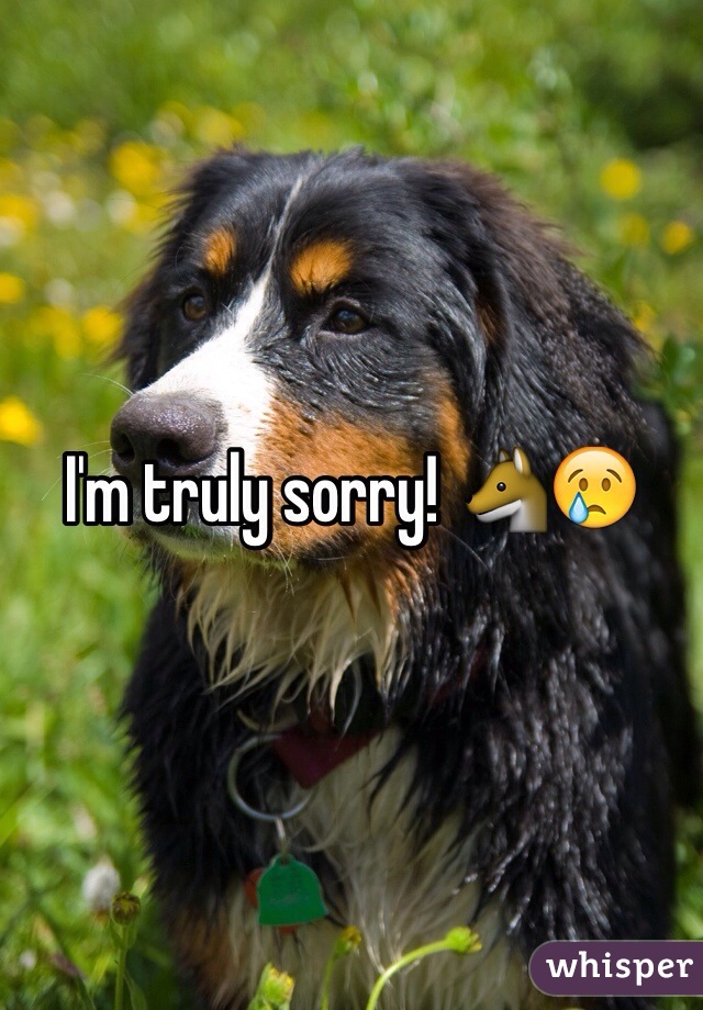 I'm truly sorry! 🐺😢