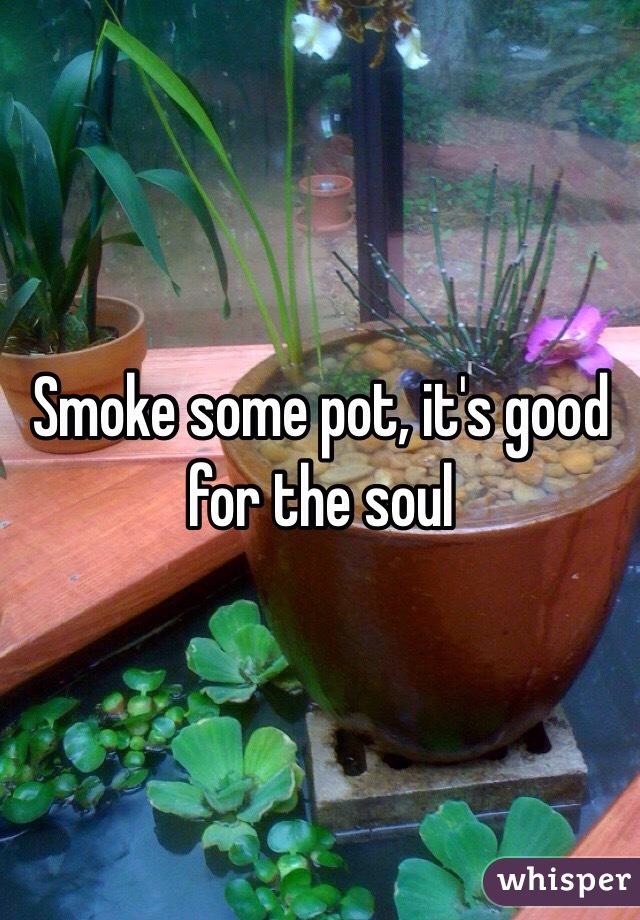 Smoke some pot, it's good for the soul 